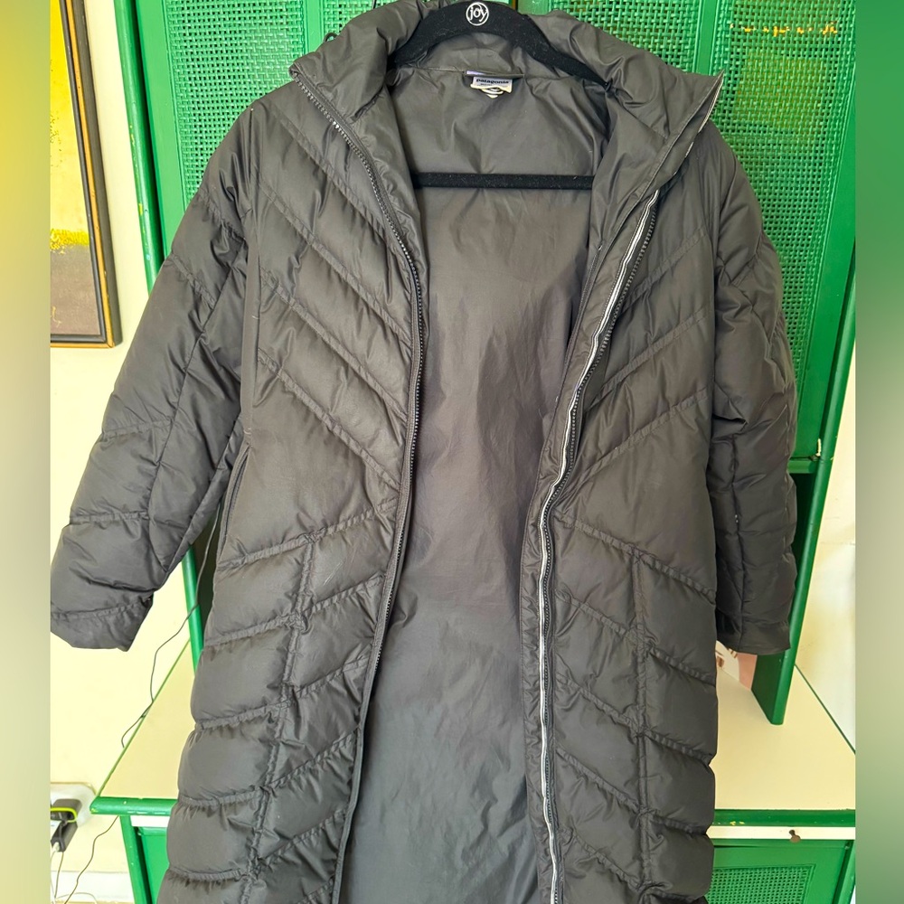 Patagonia hooded women’s XS down winter coat